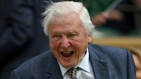 Le naturaliste britannique David Attenborough au tournoi de tennis de Wimbledon, le 1er juillet 2024