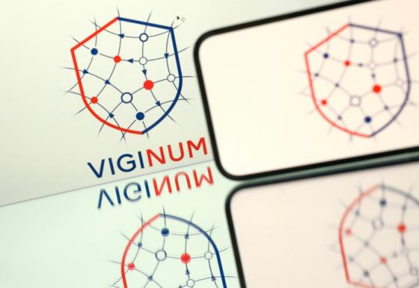 Le logo de Viginum, service chargé de lutter contre les manipulations de l'information par des acteurs étrangers, le 21 mai 2025 à Nantes