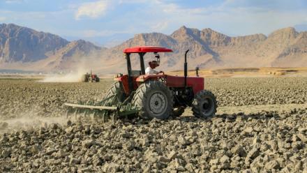 Un agriculteur dans un champ touché par la sécheresse, le 4 juin 2025 dans la région du Kurdistan irakien