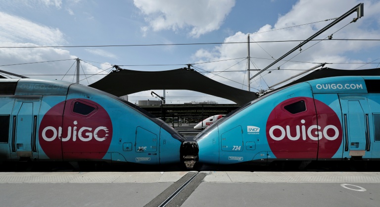 Des TGV Ouigode la SNCF à la gare de Lyon à Paris, le 24 avril 2025
