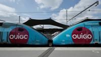 Des TGV Ouigode la SNCF à la gare de Lyon à Paris, le 24 avril 2025
