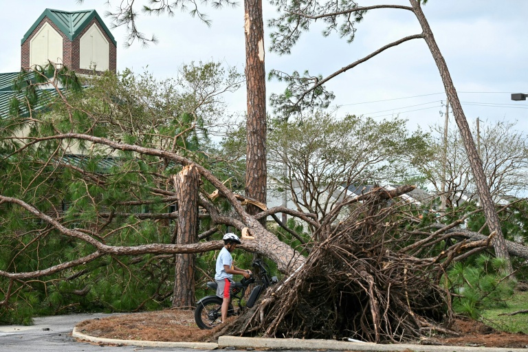 Un arbre arraché par la tempête Isaias à Gulf Breeze, en Floride, le 10 octobre 2026