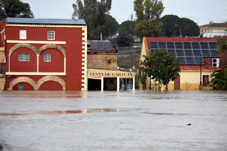 Une zone inondée dans le village de Las Pachecas à Jerez, lors de la dépression Leonardo, le 5 février 2026 dans le sud de l'Espagne