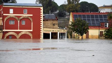 Une zone inondée dans le village de Las Pachecas à Jerez, lors de la dépression Leonardo, le 5 février 2026 dans le sud de l'Espagne