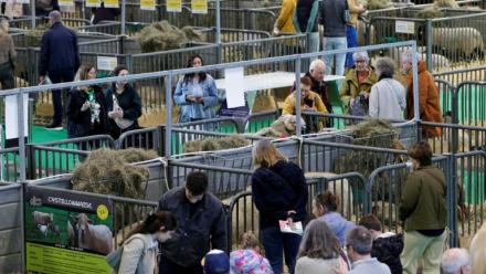 Des visiteurs au Salon de l'agriculture à Paris le 26 février 2026