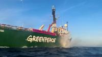 Le bateau de Greenpeace, qui devait rejoindre la trentaine de navires scientifiques d'ONG invités à Nice en marge du sommet de l'ONU sur les océans n'aura finalement pas le droit d'entrer dans le port