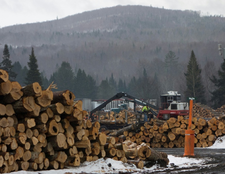 Le bois de construction, les meubles et les aménagements de cuisine sont, depuis mardi à 00h01 (04H01 GMT), les derniers secteurs en date concernés par des droits de douane sectoriels voulus par Donald Trump