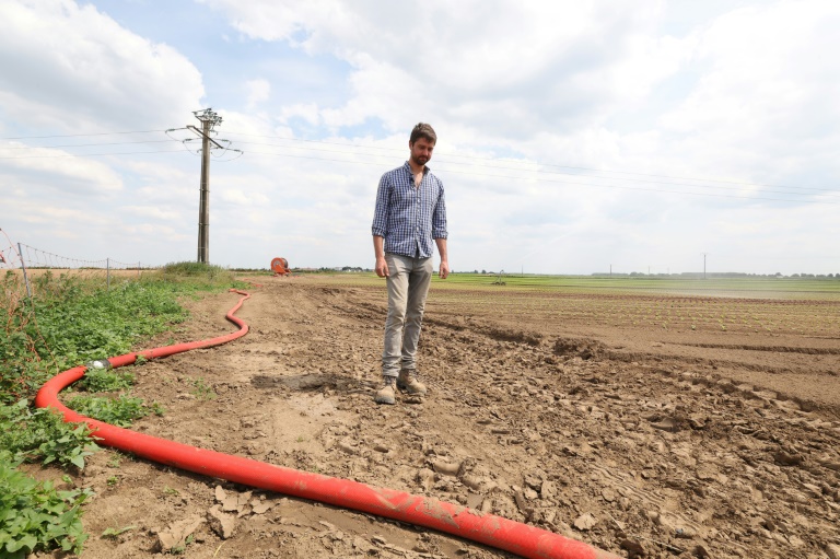 Adrien Mastain, maraîcher, marche le long d'un champ sec qu'il devra irriguer pour faire pousser ses légumes, à Carnin (Nord) le 20 mai 2025