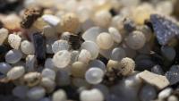 Granulés plastiques industriels (GPI) échoués sur la plage de la Pineda à Tarragone en Catalogne le 12 janvier 2024