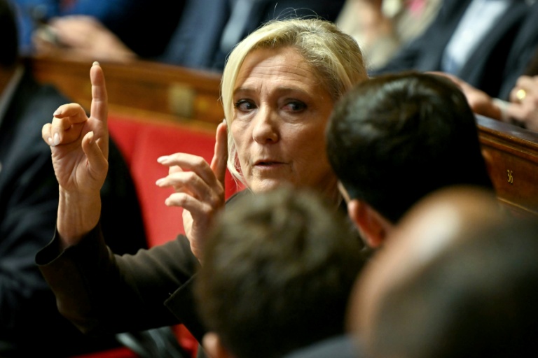 Marine Le Pen (c), présidente du groupe RN, lors de la journée réservée à l'Assemblée nationale, le 8 octobre 2026 à Paris