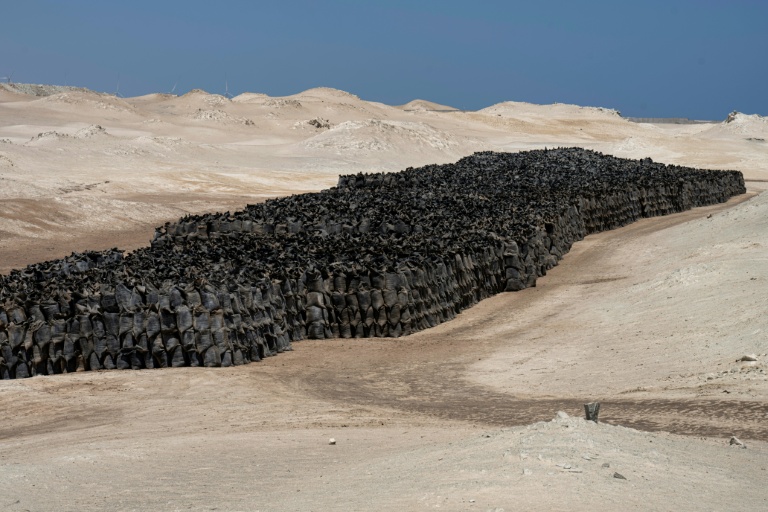 Des sacs de guano à la réserve nationale de Punta San Juan de Marcona, dans le sud du Pérou, le 29 septembre 2025