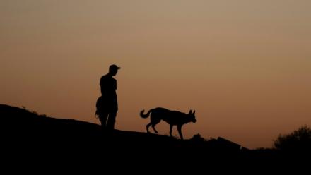 D'où viennent les chiens et depuis quand accompagnent-ils l'être humain ? De nouvelles études établissent leur présence en Europe il y a près de 16.000 ans, soit 5.000 ans plus tôt que ce que les précédentes recherches évaluaient