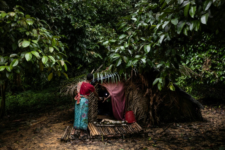 Une femme du groupe des Maniqs, l'une des plus petites minorités ethniques de Thaïlande, apporte de la nourriture à sa famille, le 11 août 2025, dans sa hutte près de Satun, dans le sud du pays
