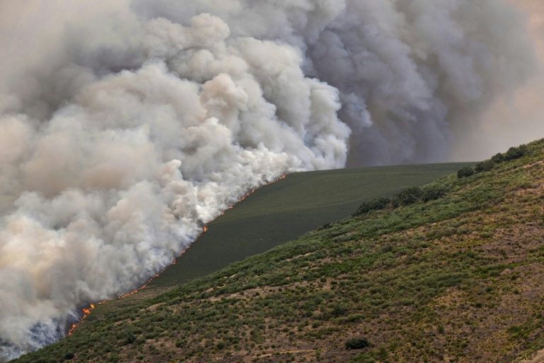 Un incendie de forêt à Castrillo de Cabrera, dans le nord-ouest de l'Espagne, le 16 août 2025