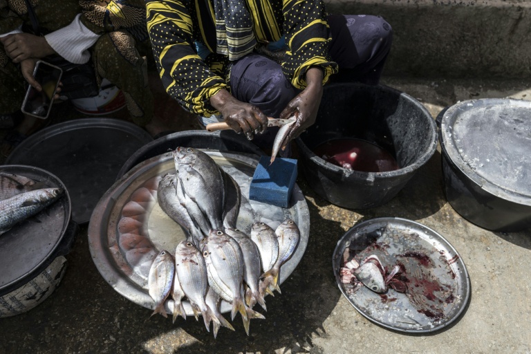 Une mareyeuse nettoie un poisson sur son étal dans un port de pêche à Rufisque, le 3 mars 2026, au Sénégal