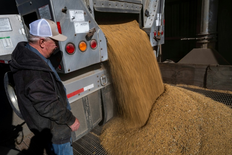 L'agriculteur Travis Hutchison décharge sa cargaison de soja chez chez un négociant en céréales local à Queen Anne, dans le Maryland, le 10 octobre 2025