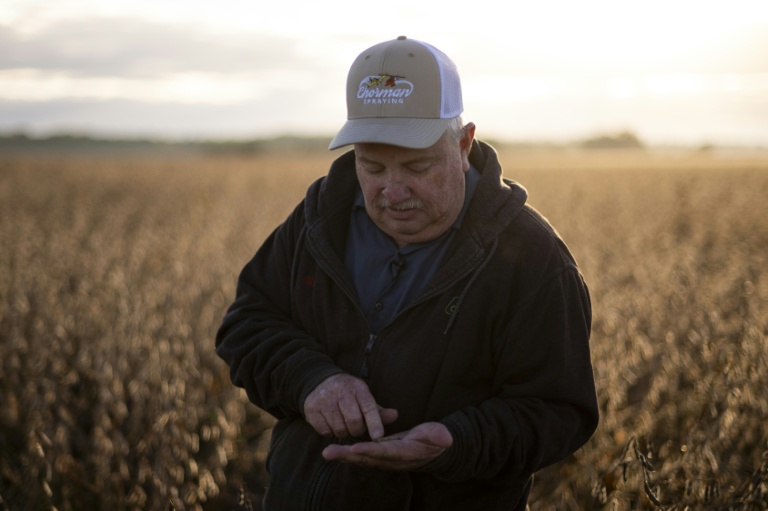 L'agriculteur Travis Hutchison examine des graines de soja dans un champ à Cordova, dans le Maryland, le 10 octobre 2025