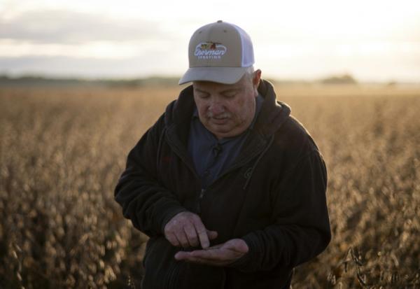 L'agriculteur Travis Hutchison examine des graines de soja dans un champ à Cordova, dans le Maryland, le 10 octobre 2025