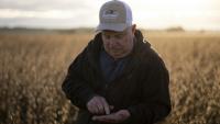 L'agriculteur Travis Hutchison examine des graines de soja dans un champ à Cordova, dans le Maryland, le 10 octobre 2025