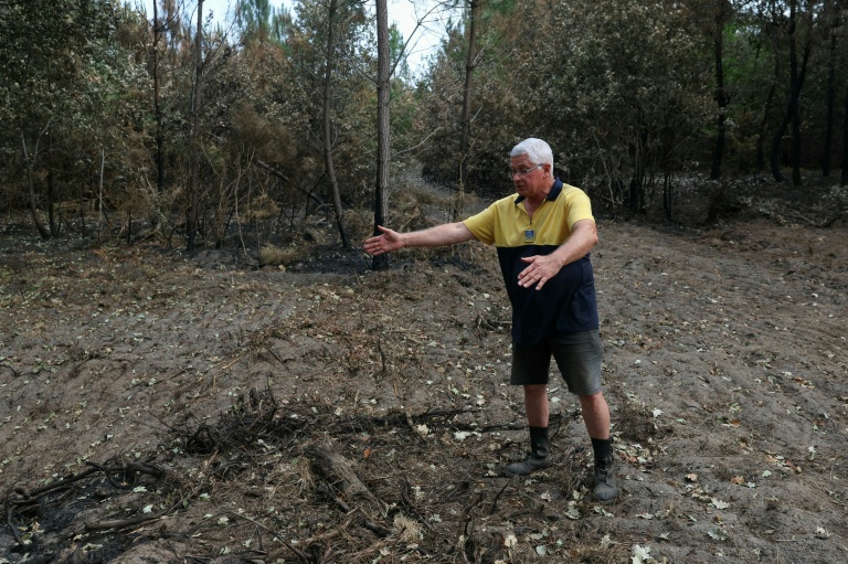 André Prouvoyeur montre le chemin d'où serait parti l'incendie, à Saumos, en Gironde, le 30 juillet 2026
