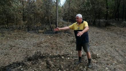 André Prouvoyeur montre le chemin d'où serait parti l'incendie, à Saumos, en Gironde, le 30 juillet 2026
