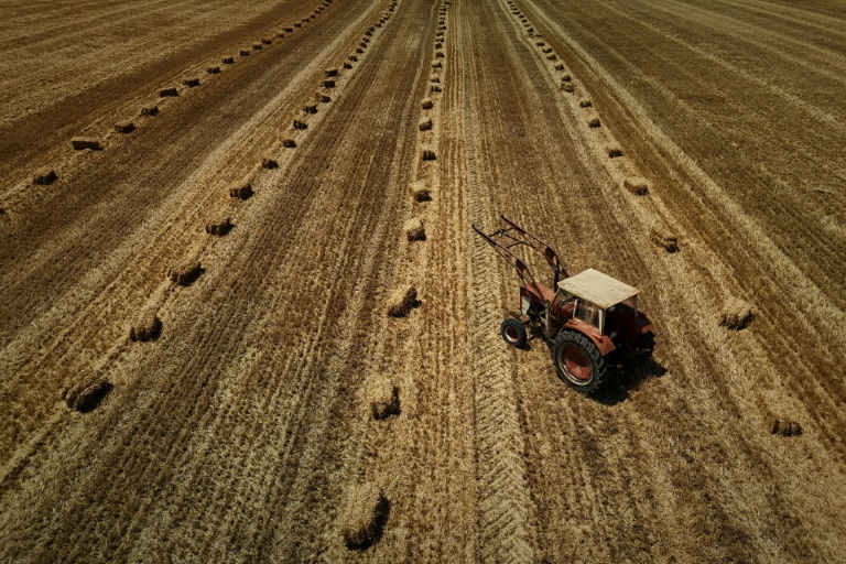 Vue aérienne d'un tracteur dans un champ moissonné, parsemé de bottes de paille, après une récolte de céréales précoce en raison d'une vague de chaleur estivale, près de Ségalas, le 8 juillet 2026 dans le Lot-et-Garonne