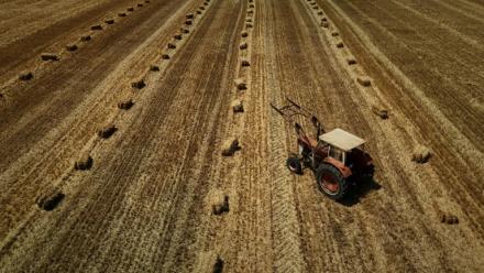 Vue aérienne d'un tracteur dans un champ moissonné, parsemé de bottes de paille, après une récolte de céréales précoce en raison d'une vague de chaleur estivale, près de Ségalas, le 8 juillet 2026 dans le Lot-et-Garonne