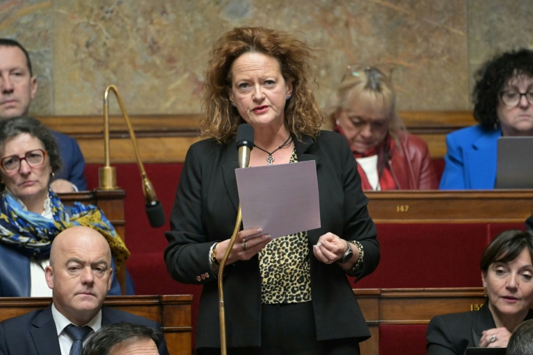La députée Anne-Cécile Violland à l'Assemblée nationale le 21 janvier 2025