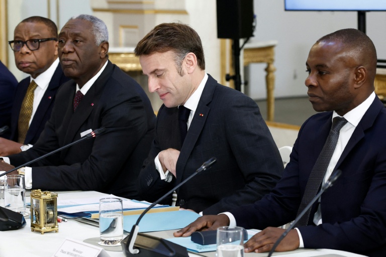 Le président français Emmanuel Macron (C) avec les membres de la Commission mixte franco-camerounaise, au palais de l'Elysée à Paris le 21 janvier 2025