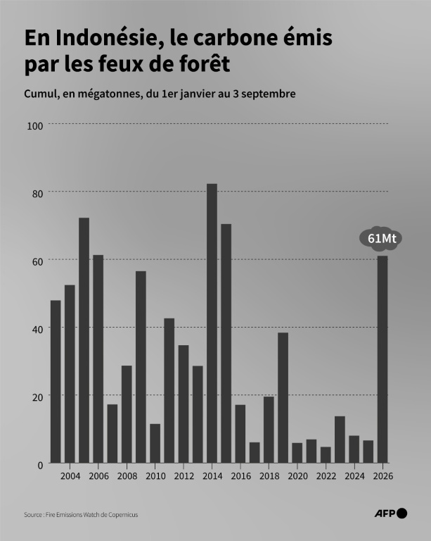 En Indonésie, le carbone émis par les feux de forêt