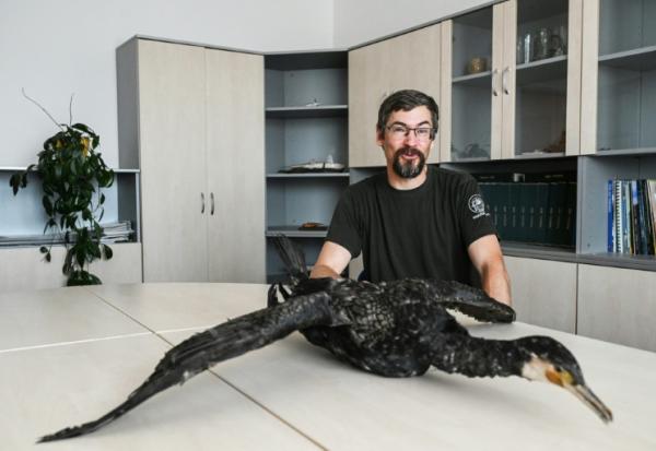 Pavel Vrana, ichtyologue à l'Union des pêcheurs tchèques, pose à côté d'un cormoran empaillé, le 13 juillet 2026 à Prague