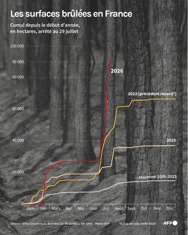 Les surfaces brûlées en France