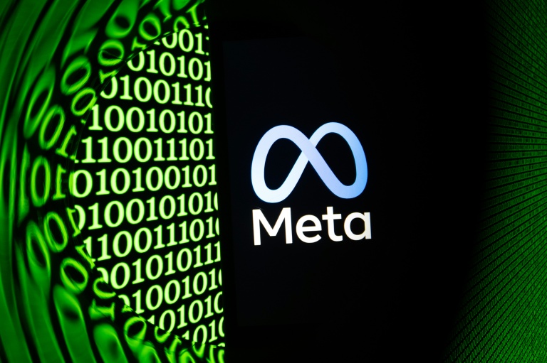 Logo Meta sur un smartphone à Mulhouse, le 11 février 2026.