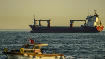 Le cargo Azra C, battant pavillon mongolien, au mouillage dans la mer de Marmara, au large d'Istanbul, le 4 juin 2026 en Turquie