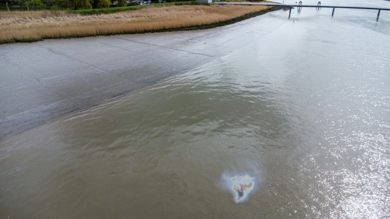 Des taches de pétrole à la surface de l'eau à l'entrée du port d'Anvers, où le trafic maritime a été interrompu après une fuite de pétrole dans l'un des quais, le 10 avril 2026 en Belgique