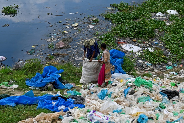Des récupérateurs de déchets collectant des sacs plastiques pourles revendre à des recycleurs à Dacca au Bangladesh le 8 septembre 2024.