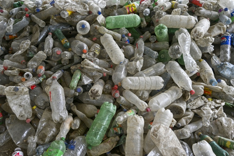 Des bouteilles en plastique s'amoncellent près de la rivière Las Vacas à Chinautla, au Guatemala, le 3 juin 2025