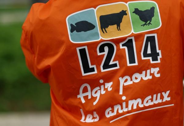 L'association animaliste L214 a annoncé jeudi avoir porté plainte contre un élevage porcin du Morbihan, accusé notamment de "sévices graves" sur des porcelets