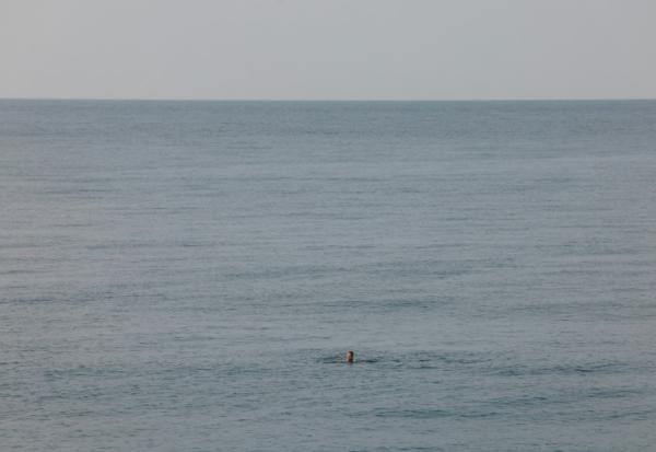 Le traité de protection de la haute mer, dont l'entrée en vigueur est espérée d'ici la fin de l'année, donnera des moyens d'action pour la conservation et la gestion durable de la biodiversité marine dans l'immense partie des océans qui n'appartient à personne