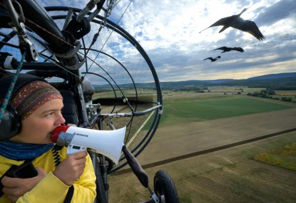 Eszter Bajka, l'une des "mères adoptives" des ibis chauves, les guide pour leur migration, dans la région de Besançon, dans l'est de la France, le 2 septembre 2026