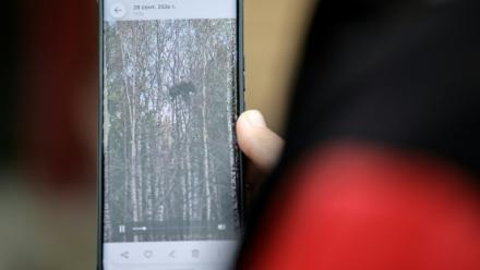 Daria Tiourneva montre à l'AFP sa vidéo d'un ourson perché sur un arbre, à Irkoutsk, en Sibérie, le 8 octobre 2026