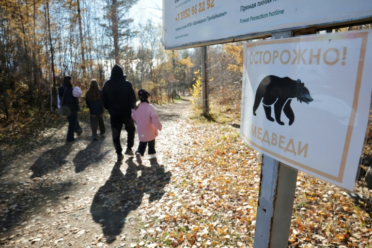 Un panneau avertissant de la présence d'ours sur un sentier de randonnée dans le parc national du lac Baïkal, dans la région d'Irkoutsk, le 9 octobre 2026 en Sibérie