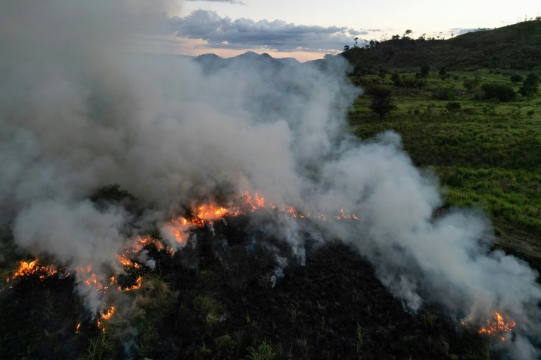 Un champ en feu à Sao Felix do Xingu, en Amazonie, dans le nord du Brésil, le 20 juin 2025
