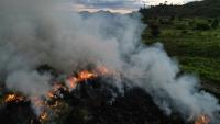 Un champ en feu à Sao Felix do Xingu, en Amazonie, dans le nord du Brésil, le 20 juin 2025