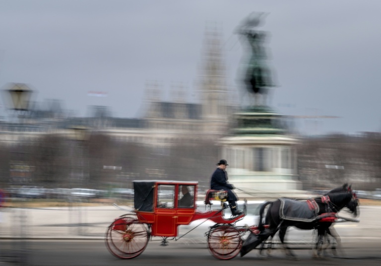 Des touristes font une promenade en calèche devant le palais impérial de la Hofburg, le 2 février 2026 à Vienne, en Autriche