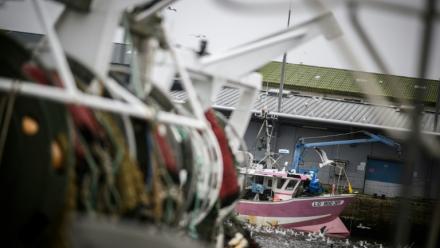 Le président du comité national des pêches appelle à "lever les obstacles" au renouvellement de la flotte de pêche française
