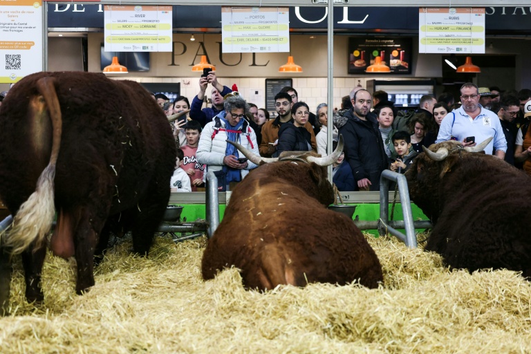 Au Salon de l'Agriculture, Porte de Versailles à Paris, le 22 février 2025