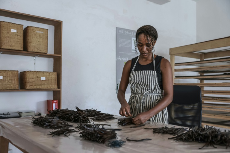 Une employée trie des gousses de vanille à L'atelier Vanilha à São Tomé, capitale de São Tomé-et-Principe, le 7 août 2026