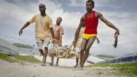 Des pêcheurs qui ont hameçonnée une tortue aident des membres de l'ONG Local Ocean Conservation (LOC) à la transporter vers le centre du LOC où elle sera soignée, le 22 mai 2025 à Watamu, au Kenya