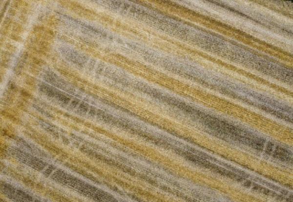 La Commission européenne va aménager sa taxe carbone aux frontières sur les engrais importés, afin d'éviter une hausse des prix dans une période de crise agricole